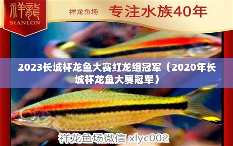 2023长城杯龙鱼大赛红龙组冠军（2020年长城杯龙鱼大赛冠军）