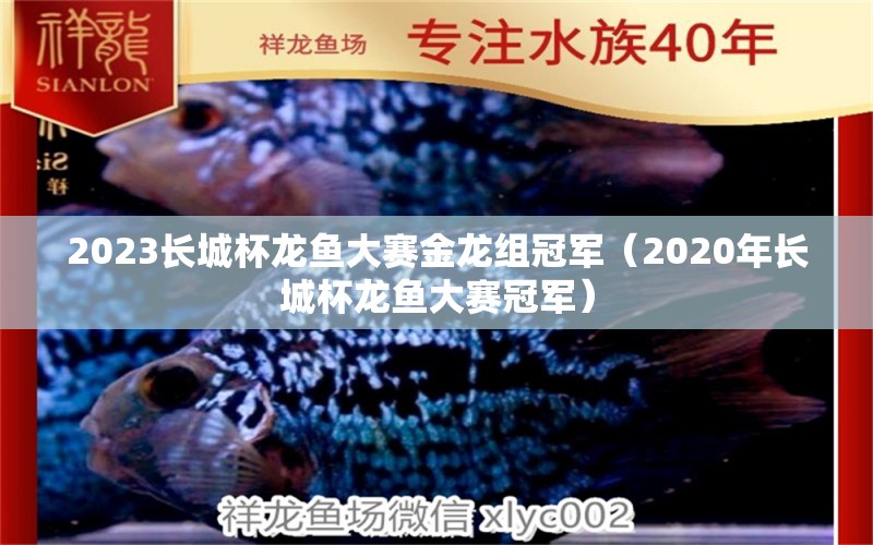 2023长城杯龙鱼大赛金龙组冠军（2020年长城杯龙鱼大赛冠军）