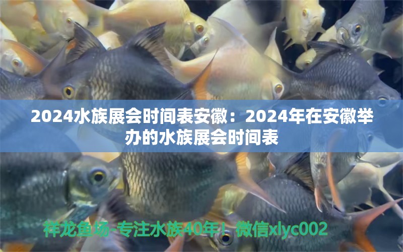 2024水族展会时间表安徽：2024年在安徽举办的水族展会时间表