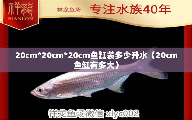 20cm*20cm*20cm鱼缸装多少升水（20cm鱼缸有多大）