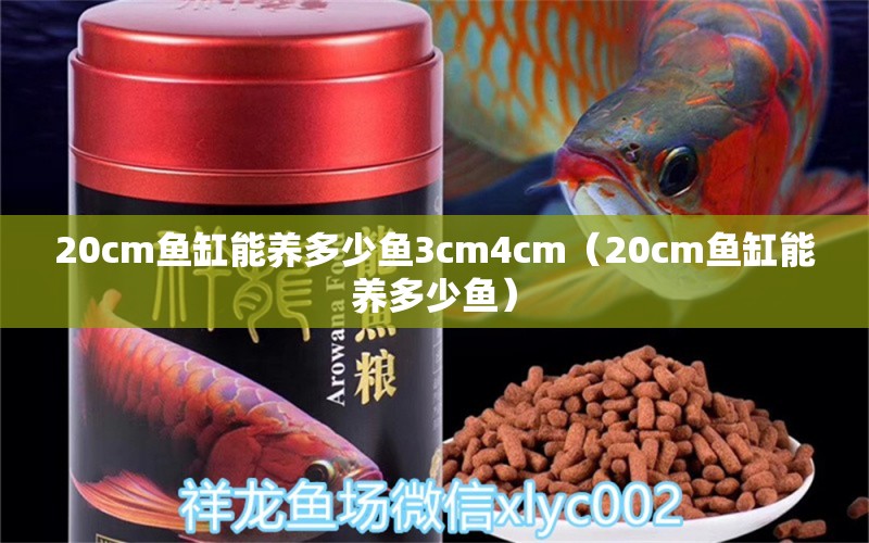 20cm鱼缸能养多少鱼3cm4cm（20cm鱼缸能养多少鱼） 其他品牌鱼缸