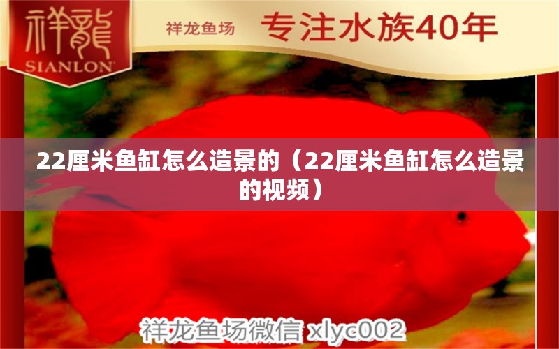 22厘米鱼缸怎么造景的（22厘米鱼缸怎么造景的视频） 祥龙水族医院