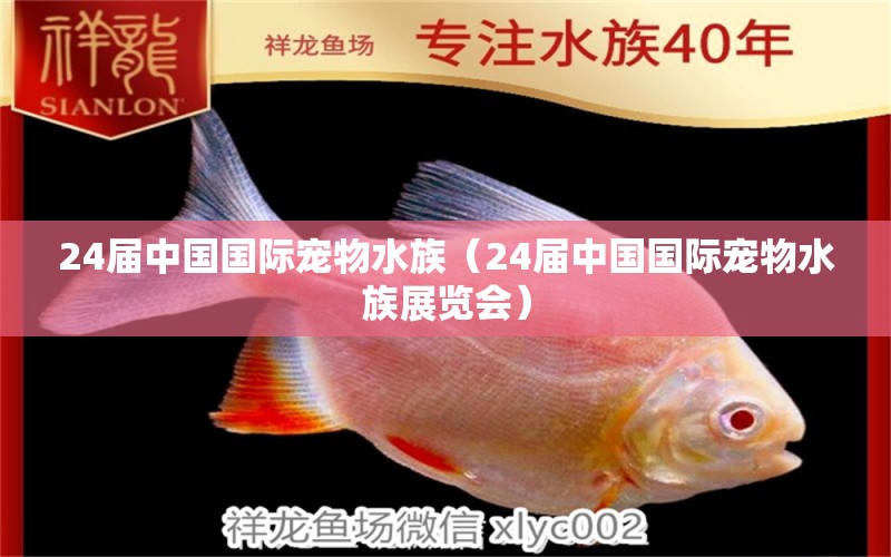 24届中国国际宠物水族（24届中国国际宠物水族展览会）