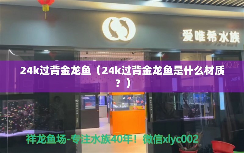 24k过背金龙鱼（24k过背金龙鱼是什么材质？） 水族问答 第2张