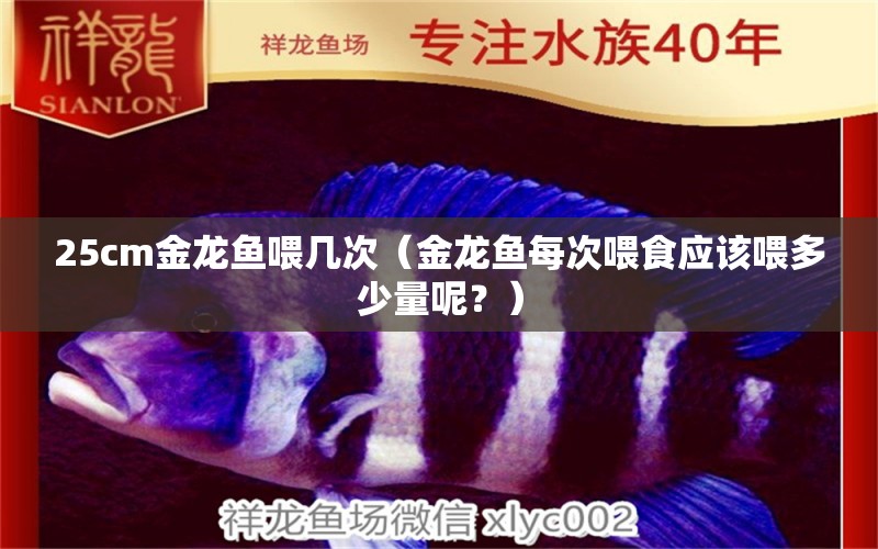 25cm金龙鱼喂几次（金龙鱼每次喂食应该喂多少量呢？） 水族问答 第2张