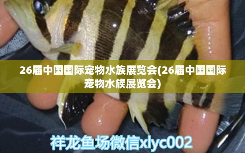 26届中国国际宠物水族展览会(26届中国国际宠物水族展览会) 水族展会 第1张