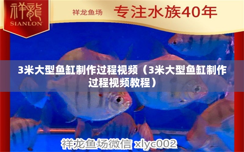 3米大型鱼缸制作过程视频（3米大型鱼缸制作过程视频教程） 其他品牌鱼缸