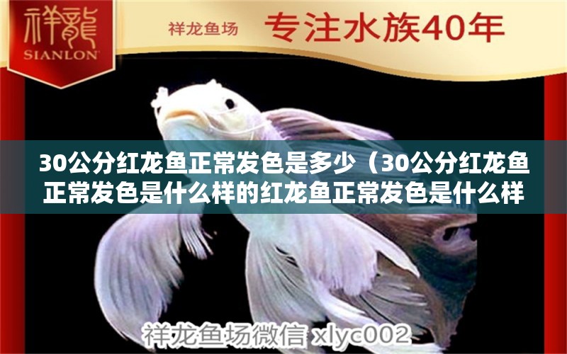 30公分红龙鱼正常发色是多少（30公分红龙鱼正常发色是什么样的红龙鱼正常发色是什么样的）