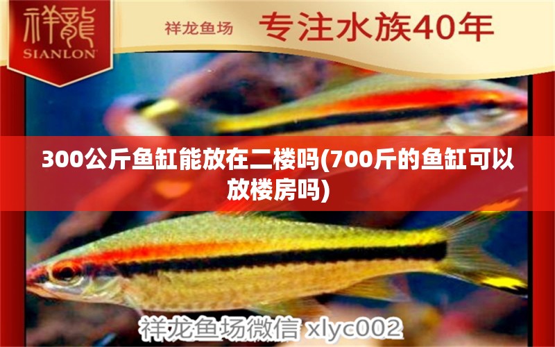 300公斤鱼缸能放在二楼吗(700斤的鱼缸可以放楼房吗)