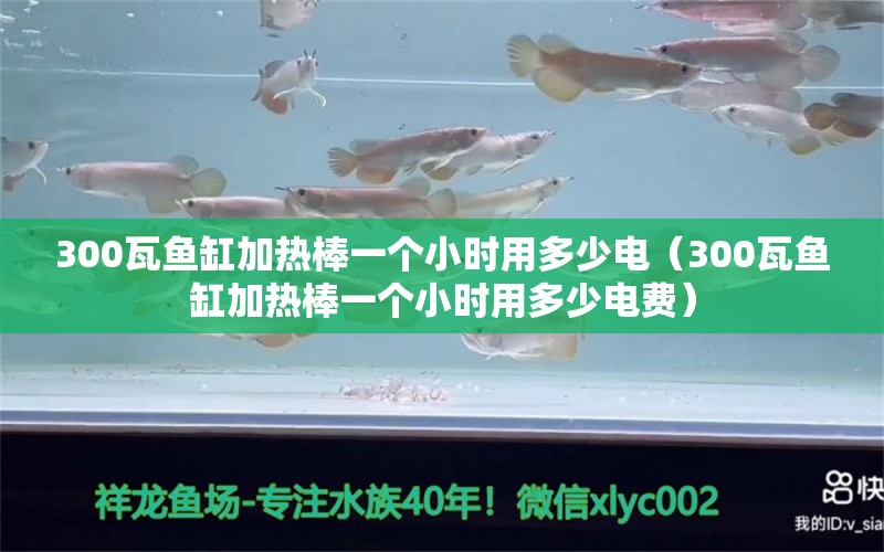 300瓦鱼缸加热棒一个小时用多少电（300瓦鱼缸加热棒一个小时用多少电费）