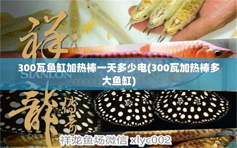 300瓦鱼缸加热棒一天多少电(300瓦加热棒多大鱼缸)