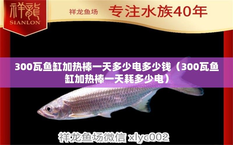 300瓦鱼缸加热棒一天多少电多少钱（300瓦鱼缸加热棒一天耗多少电） 鱼缸百科