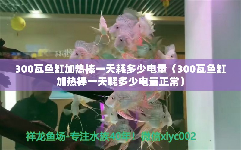 300瓦鱼缸加热棒一天耗多少电量（300瓦鱼缸加热棒一天耗多少电量正常） 鱼缸百科