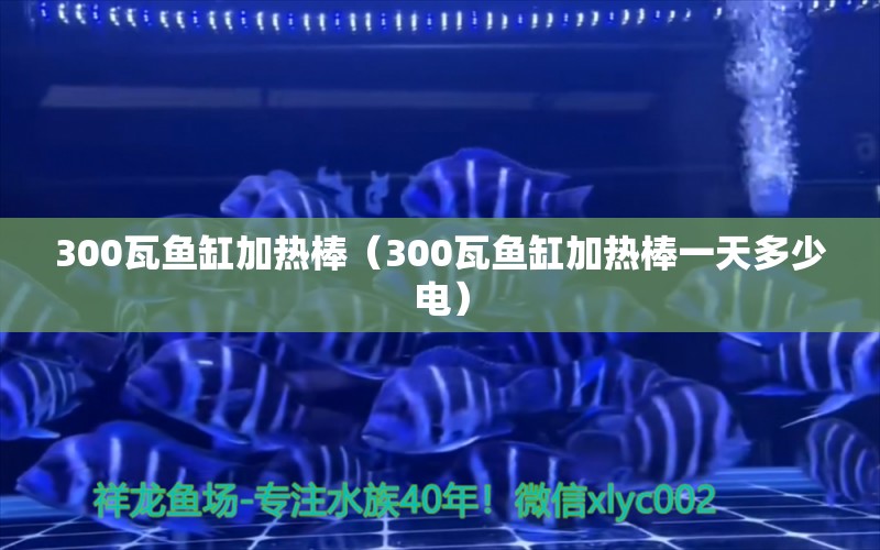 300瓦鱼缸加热棒（300瓦鱼缸加热棒一天多少电）