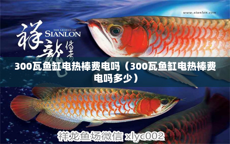 300瓦鱼缸电热棒费电吗（300瓦鱼缸电热棒费电吗多少）