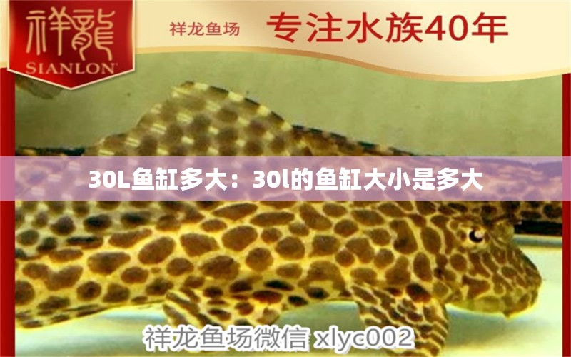 30L鱼缸多大：30l的鱼缸大小是多大