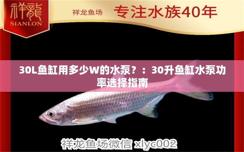 30L鱼缸用多少W的水泵？：30升鱼缸水泵功率选择指南 鱼缸百科 第2张