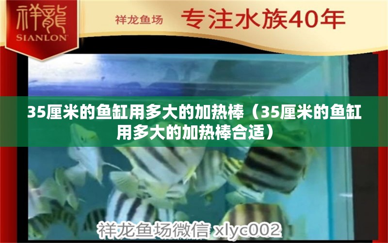 35厘米的鱼缸用多大的加热棒（35厘米的鱼缸用多大的加热棒合适）