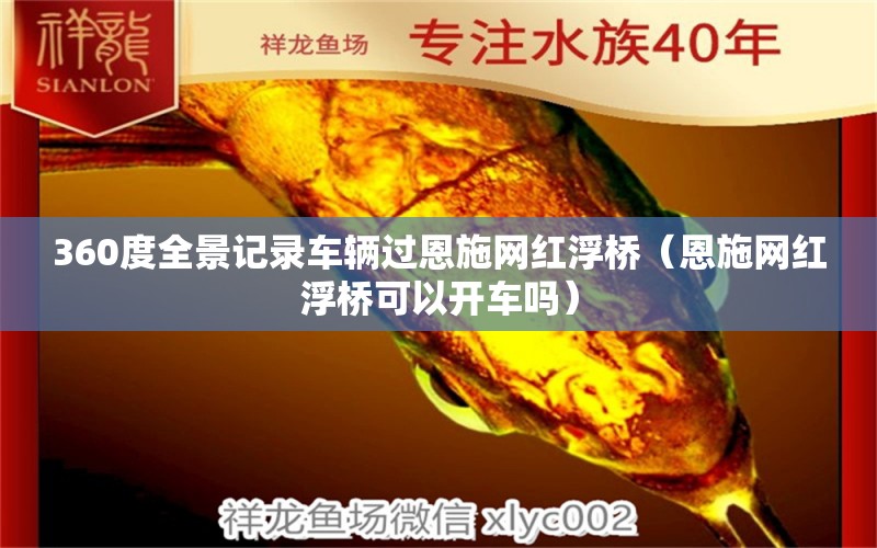 360度全景记录车辆过恩施网红浮桥（恩施网红浮桥可以开车吗）