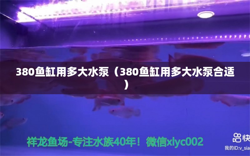 380鱼缸用多大水泵（380鱼缸用多大水泵合适） 祥龙水族医院