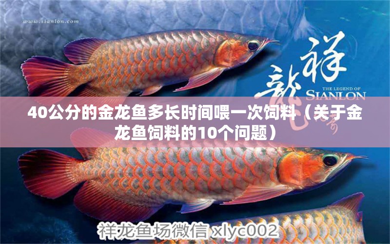 40公分的金龙鱼多长时间喂一次饲料（关于金龙鱼饲料的10个问题）