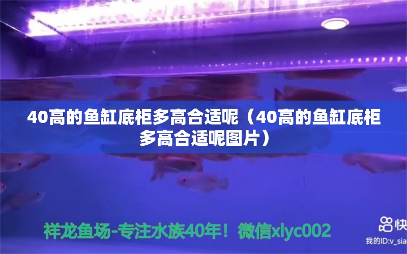 40高的鱼缸底柜多高合适呢（40高的鱼缸底柜多高合适呢图片） 祥龙水族医院