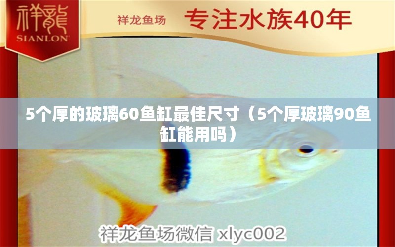 5个厚的玻璃60鱼缸最佳尺寸（5个厚玻璃90鱼缸能用吗）