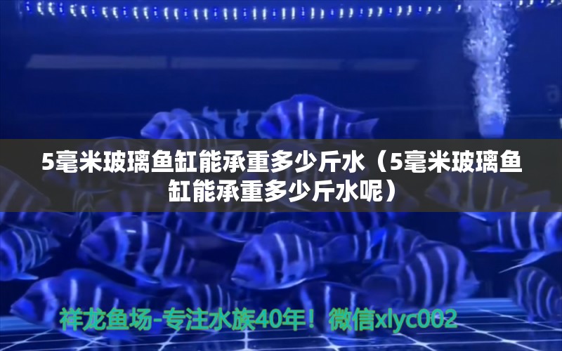 5毫米玻璃鱼缸能承重多少斤水（5毫米玻璃鱼缸能承重多少斤水呢） 其他品牌鱼缸