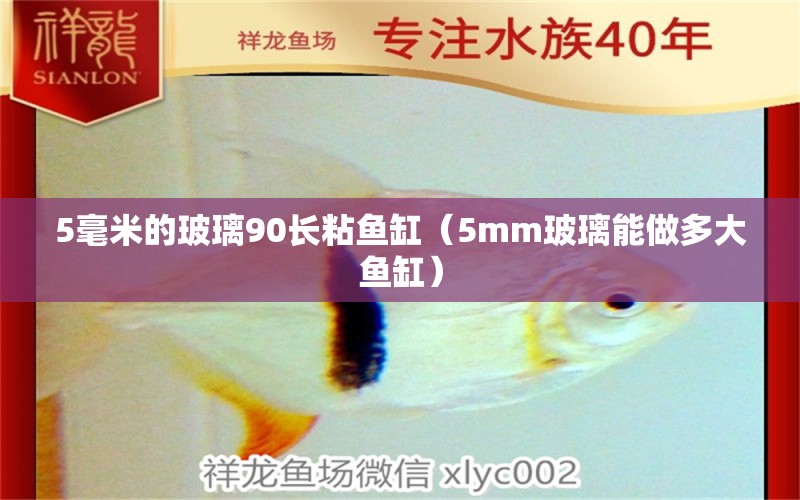 5毫米的玻璃90长粘鱼缸（5mm玻璃能做多大鱼缸）