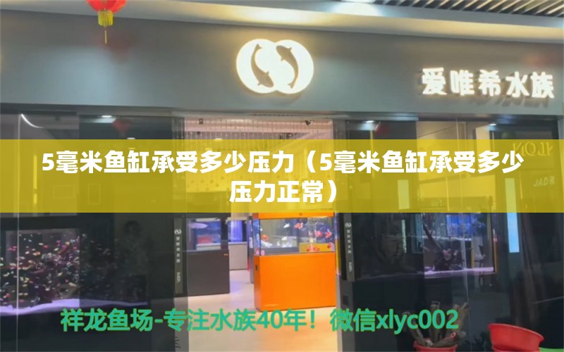 5毫米鱼缸承受多少压力（5毫米鱼缸承受多少压力正常） 其他品牌鱼缸