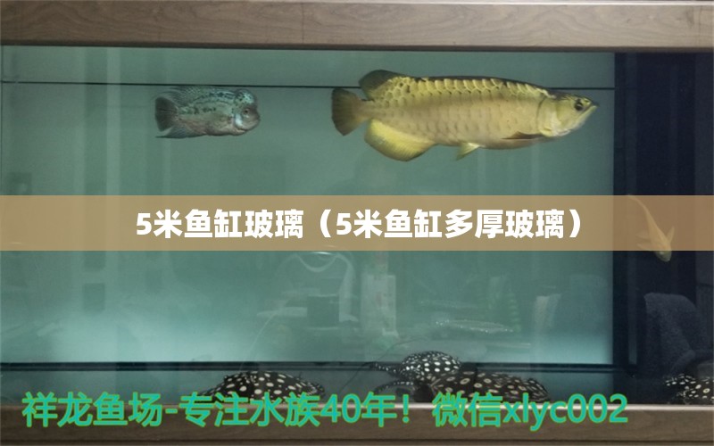 5米鱼缸玻璃（5米鱼缸多厚玻璃）