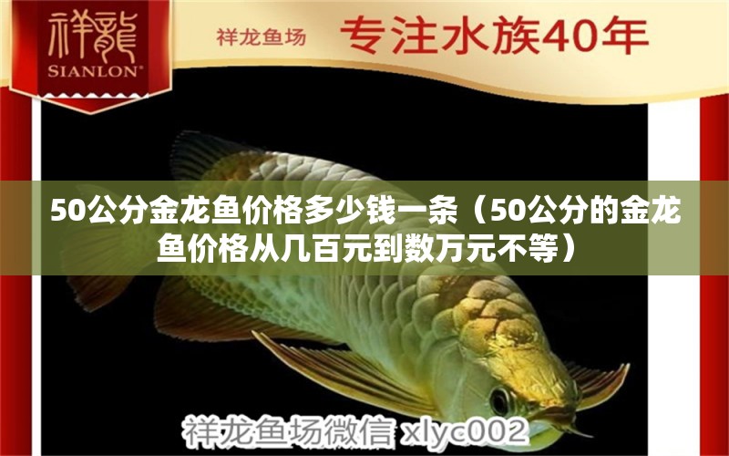 50公分金龙鱼价格多少钱一条（50公分的金龙鱼价格从几百元到数万元不等）