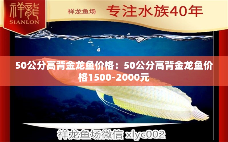 50公分高背金龙鱼价格：50公分高背金龙鱼价格1500-2000元 龙鱼百科 第1张