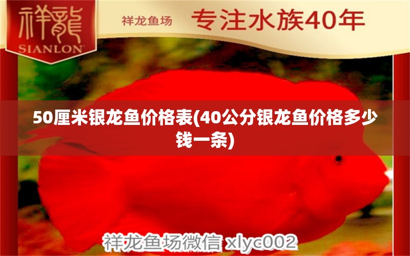 50厘米银龙鱼价格表(40公分银龙鱼价格多少钱一条) 银龙鱼