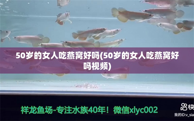 50岁的女人吃燕窝好吗(50岁的女人吃燕窝好吗视频)