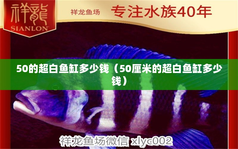 50的超白鱼缸多少钱（50厘米的超白鱼缸多少钱）