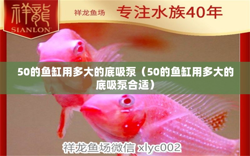 50的鱼缸用多大的底吸泵（50的鱼缸用多大的底吸泵合适） 其他品牌鱼缸