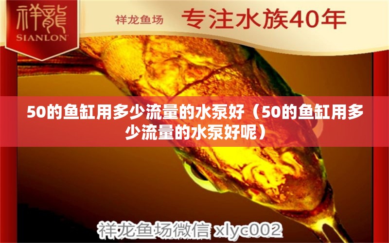 50的鱼缸用多少流量的水泵好（50的鱼缸用多少流量的水泵好呢） 祥龙水族医院