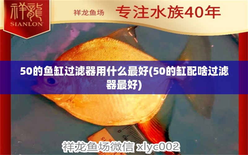 50的鱼缸过滤器用什么最好(50的缸配啥过滤器最好)