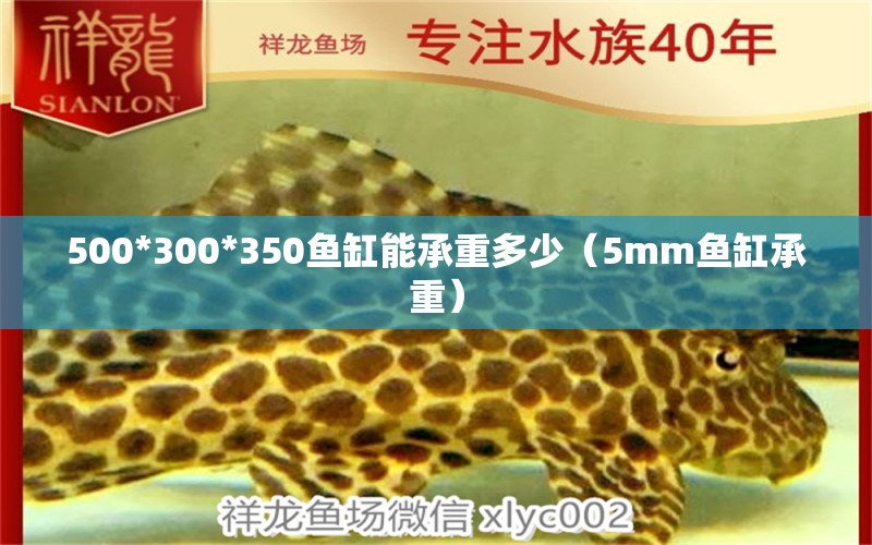 500*300*350鱼缸能承重多少（5mm鱼缸承重）