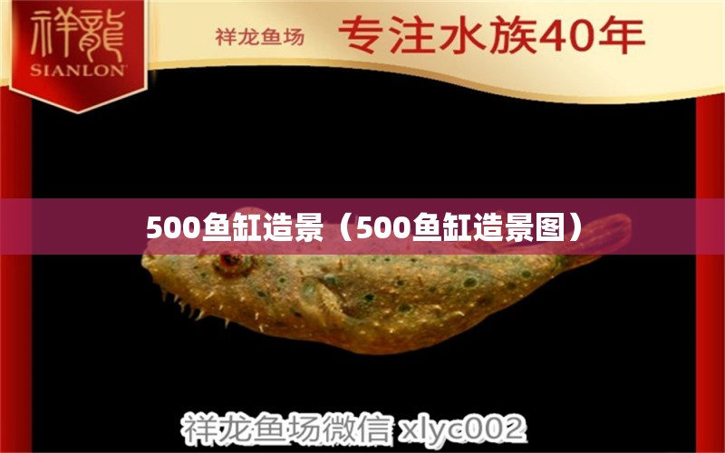 500鱼缸造景（500鱼缸造景图） 观赏鱼市场（混养鱼）