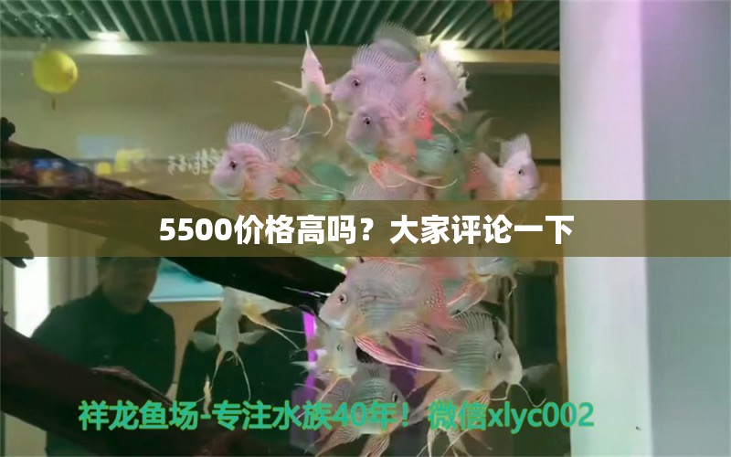 5500价格高吗？大家评论一下