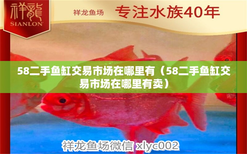 58二手鱼缸交易市场在哪里有（58二手鱼缸交易市场在哪里有卖） 祥龙水族医院