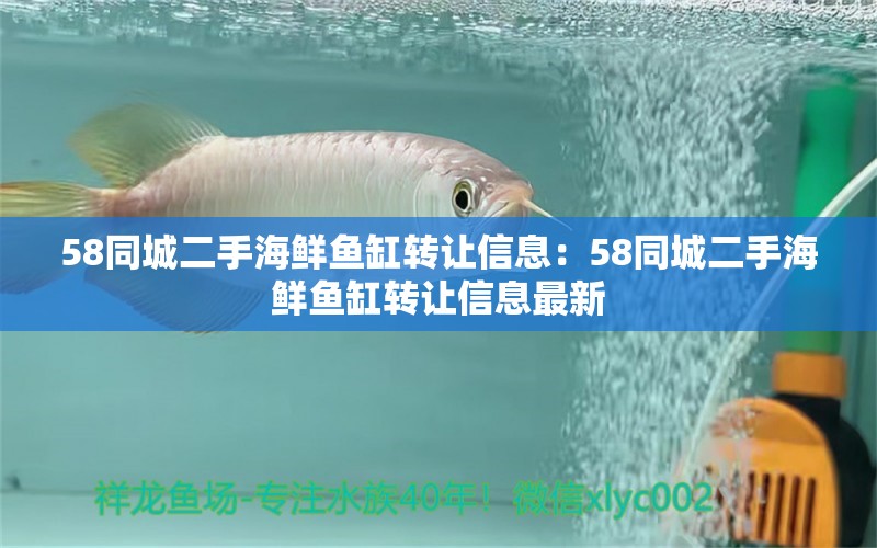 58同城二手海鲜鱼缸转让信息：58同城二手海鲜鱼缸转让信息最新