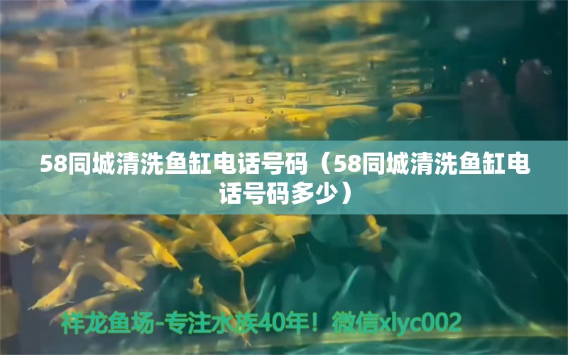 58同城清洗鱼缸电话号码（58同城清洗鱼缸电话号码多少） 其他品牌鱼缸