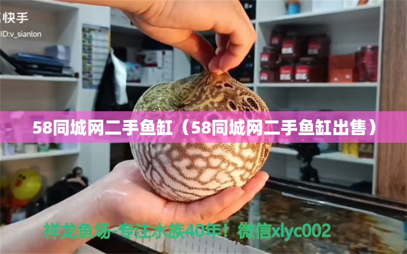 58同城网二手鱼缸（58同城网二手鱼缸出售） 其他品牌鱼缸