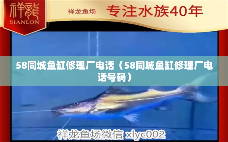 58同城鱼缸修理厂电话（58同城鱼缸修理厂电话号码）