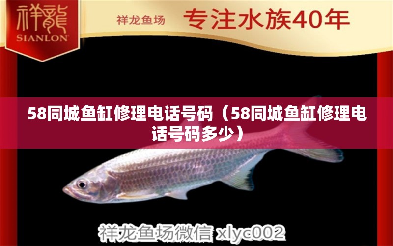 58同城鱼缸修理电话号码（58同城鱼缸修理电话号码多少）