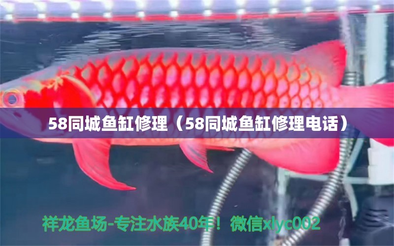 58同城鱼缸修理（58同城鱼缸修理电话） 其他品牌鱼缸