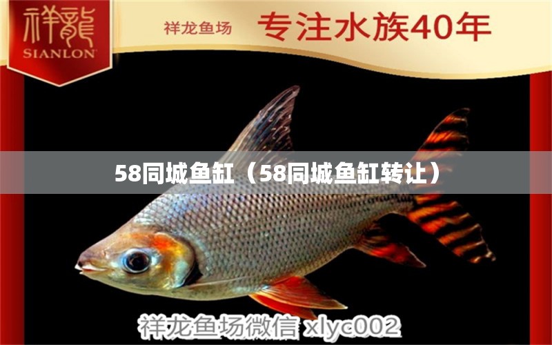 58同城鱼缸（58同城鱼缸转让） 祥龙水族医院